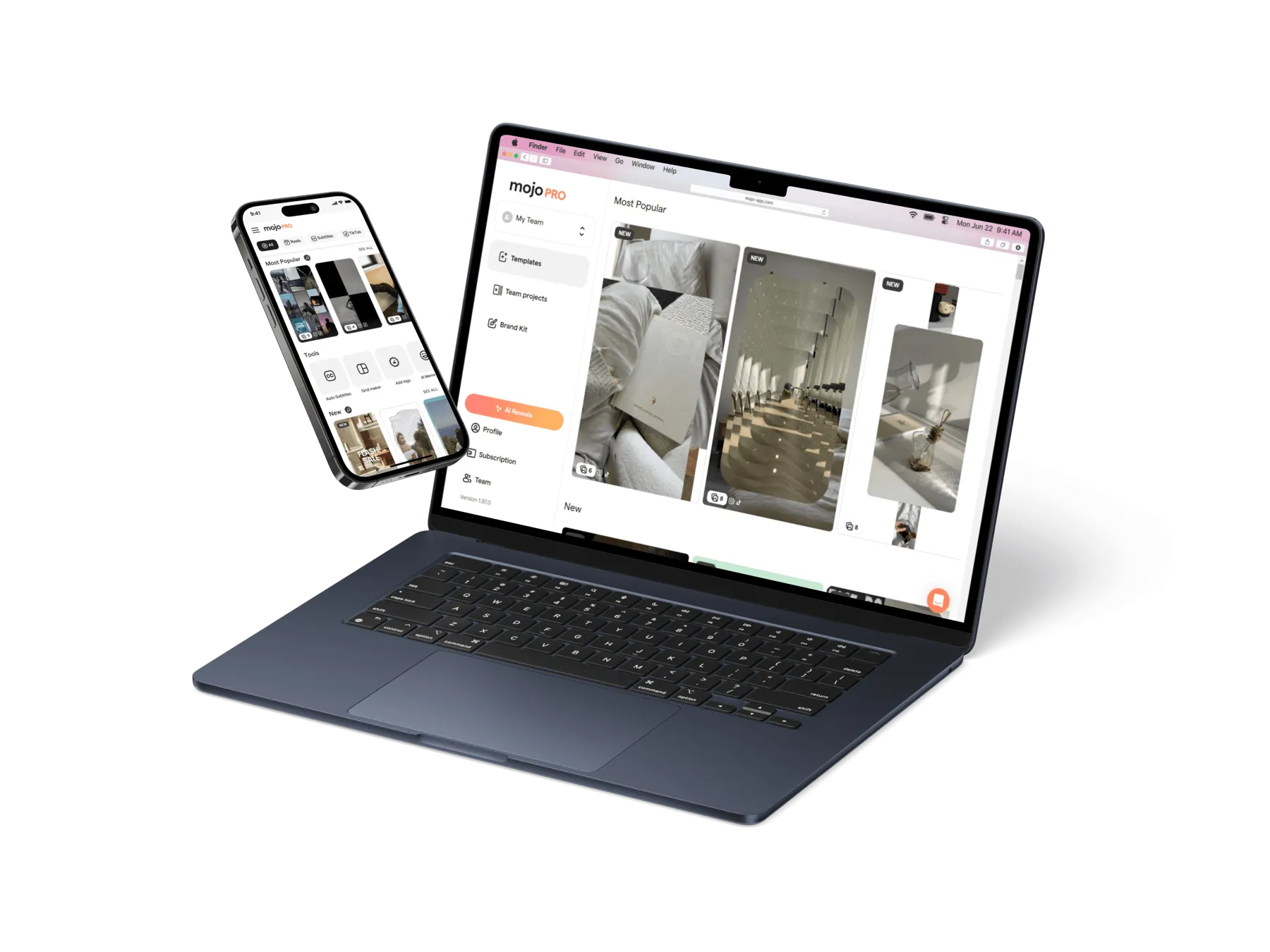 Mojo desktop app interface